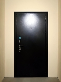 Порошковая металлическая дверь