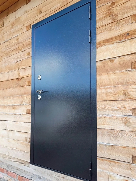 Порошковая однопольная дверь