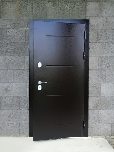 Порошковая входная дверь
