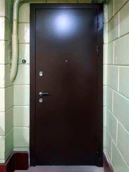 Порошковая входная дверь