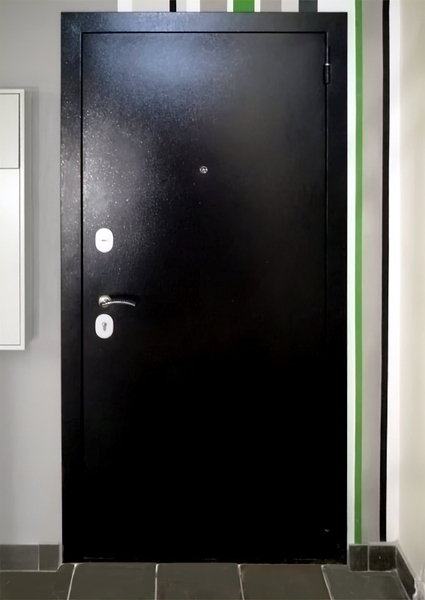 Порошковая входная дверь
