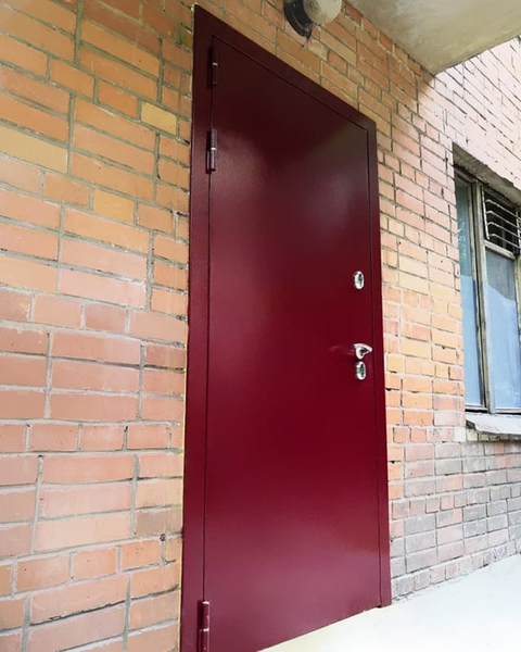 Порошковая входная дверь