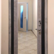 Фото входных дверей с зеркалом внутри
