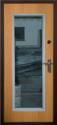 Дверь с порошковым напылением и стеклом № 2