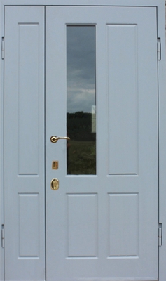 Дверь с порошковым напылением и стеклом № 5