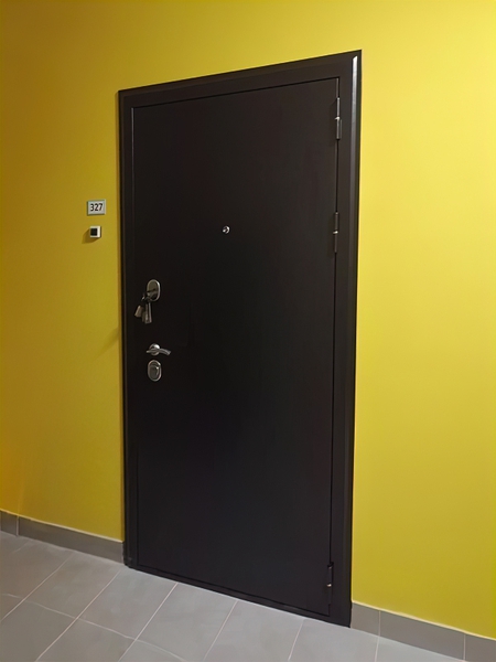 Стальная дверь с порошковым покрытием