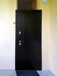 Стальная дверь с рисунком на металле