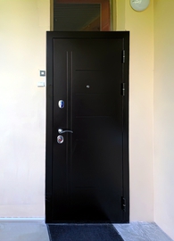 Стальная дверь с рисунком на металле