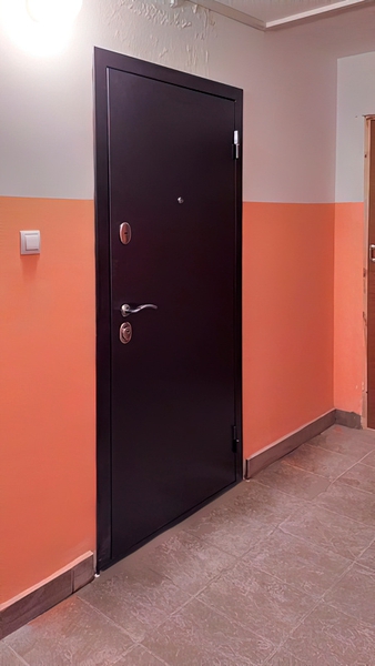 Стальная дверь в квартиру