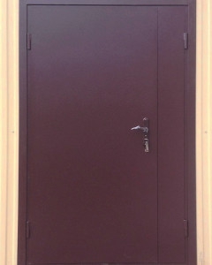 Тамбурная дверь