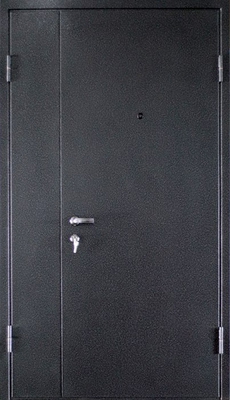 Тамбурная дверь ДТ-24