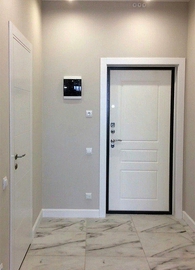 Входная дверь с белой панелью
