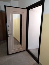 Входная дверь с зеркалом для квартиры