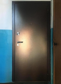 Входная однопольная дверь