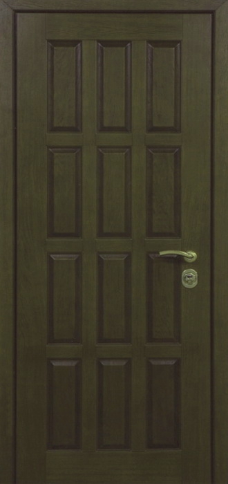 Дверь с порошковым напылением PN 66