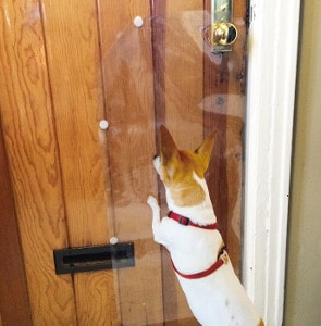 Защита двери от собаки