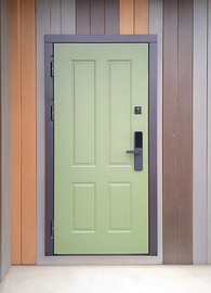 Зеленая дверь с биометрией