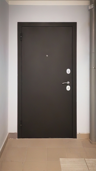 Железная входная дверь