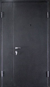Дверь ДТ-24