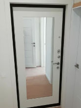 Дверь с зеркальной панелью