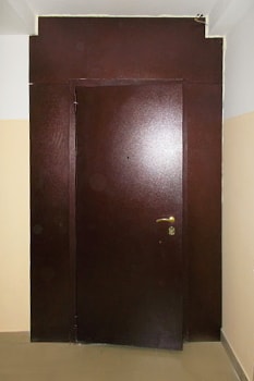 Металлическая дверь в тамбур